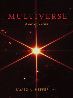 cover image of Multiverse